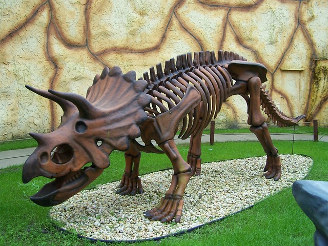 kostra dinosaura